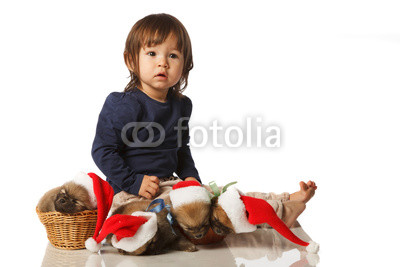 Little girl with Four Pomeranian Spitz puppies in Santa hats