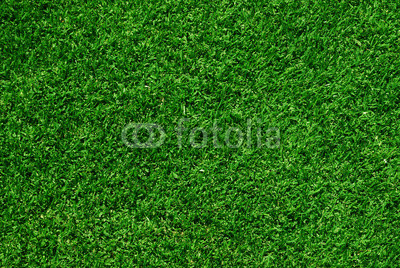 green grass background