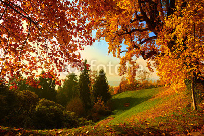 Autunno
