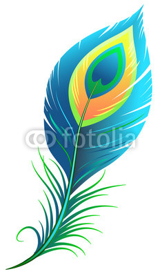 Peacock feather