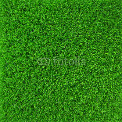 Green lawn grass background texture close-up. 3d render