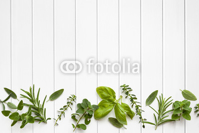 Fresh Herbs Border