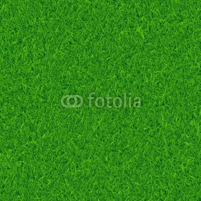 Green grass vector background