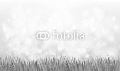 Vector  nature background, blue sky and green grass.