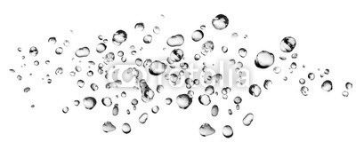 Water Drops