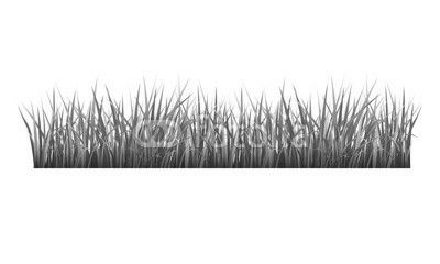 Grass
