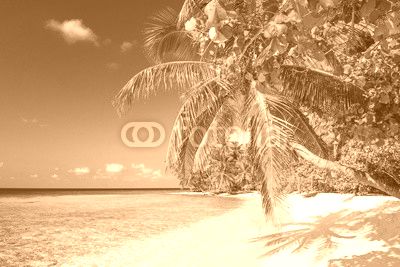 Strand auf den Malediven