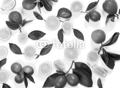 Pattern made of lime fruit.