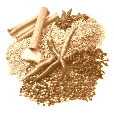 Powder spices  in white background