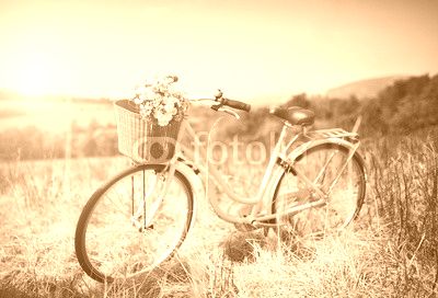 Vintage bicycle with basket full of flowers standing in field