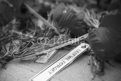 Anzac day remembrance day poppy