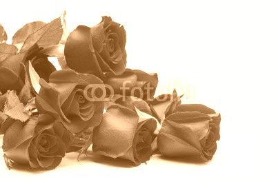 Bouquet of roses
