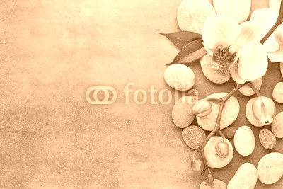 Spa orchid theme objects on grey background.