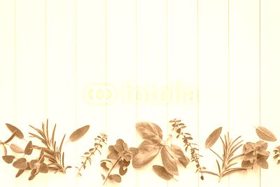 Fresh Herbs Border