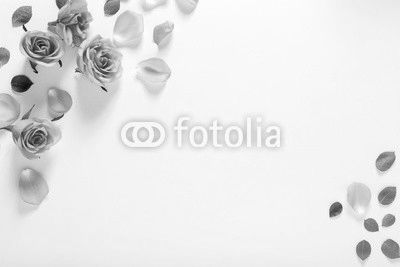 Roses and leaves top view