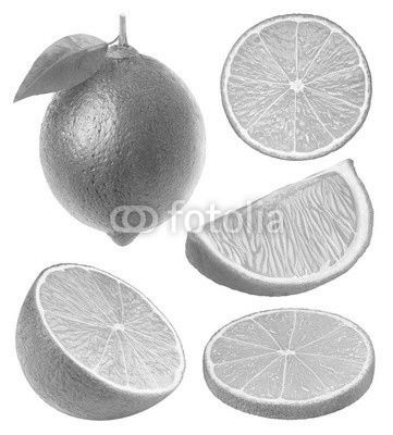 Collection of isolated lime slices