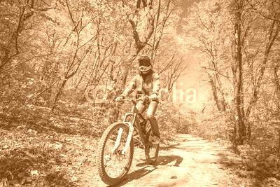 man ride mountain bike through forest