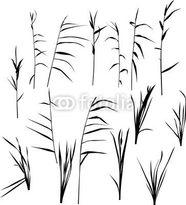 set of fifteen reed silhouettes isolated on white