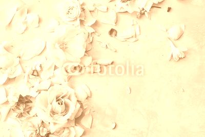 Composition of flowers on grey background