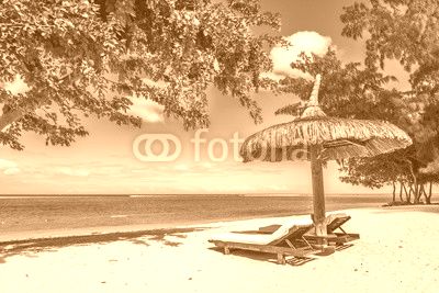 White sand beach with lounge chairs and umbrella in Mauritius Is