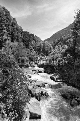 Vivid Swiss landscape with  pure river stream
