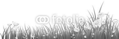 Green grass and flowers on white, vector illustration