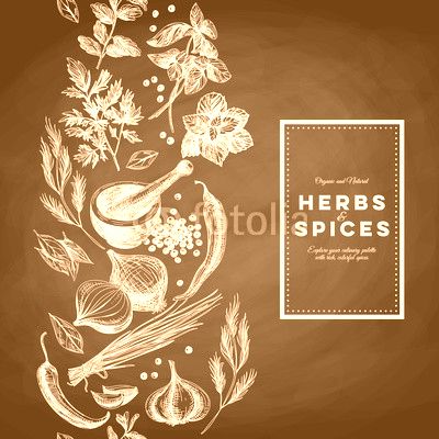Vector background with hand drawn herbs and spices.