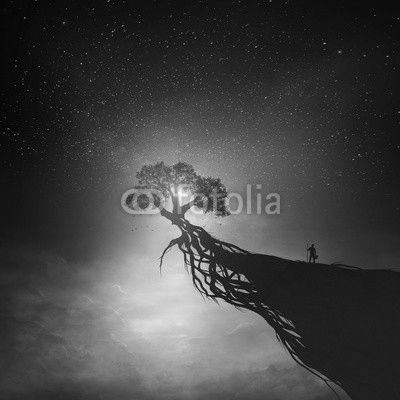 Tree and night sky