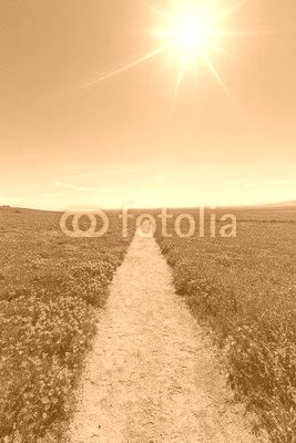 Hiking path at the Antelope Valley California Poppy Reserve State Park.