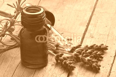 Lavandula Lavanda Lawenda Lavendel Лаванда