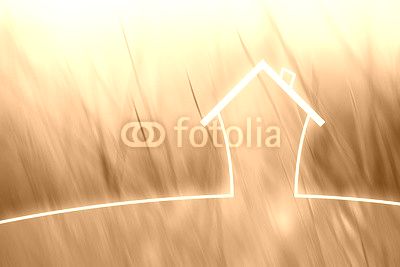 Concept artistic eco healthy living house on blurred meadow background.