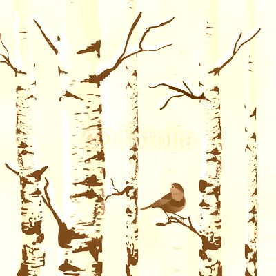 Birch in snow, winter card in vector