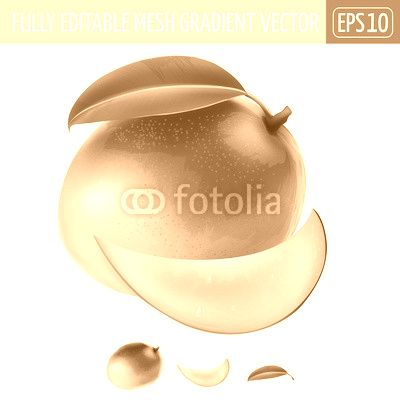 Mango on white background. Vector illustration