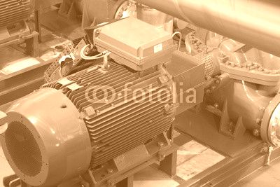 Water pump