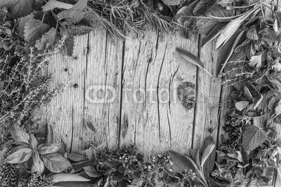 Fresh and aromatic herbs in frame on old wooden table. Space for text. 