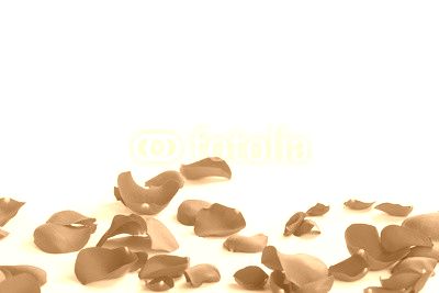 red rose petals on white background, abstract photo