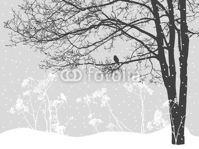 tree in the snowy day