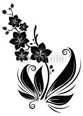 black orchids schwarze orchideen