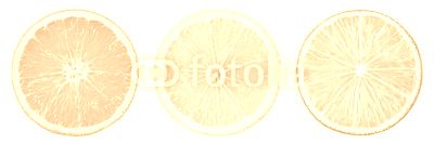Citrus fruit. Orange, lemon, lime, grapefruit. Slices isolated o