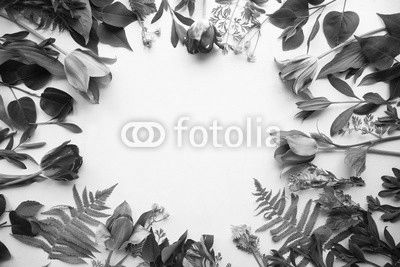 Tulips and lilacs and leaves top view