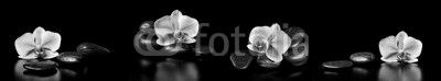 Horizontal panorama with pink orchids and zen stones on black ba
