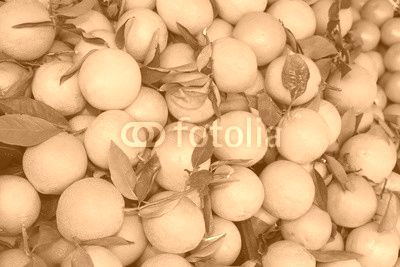 oranges with leaf after the harvest in the Mediterranean orchard