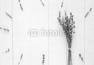 lavender frames design with flowers on white background top view mock up
