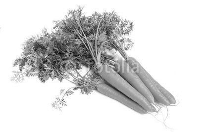 Fresh carrots isolated on white background