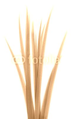 green grass leaves