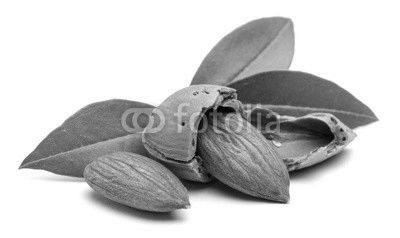 Almonds