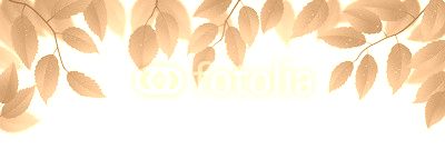 Fresh green leaves on white background, vector illustration