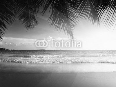sunset on the beach of caribbean sea