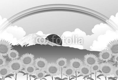 ひまわり　夏　風景　背景