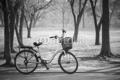 old vintage bicycle in public park with green nature concept